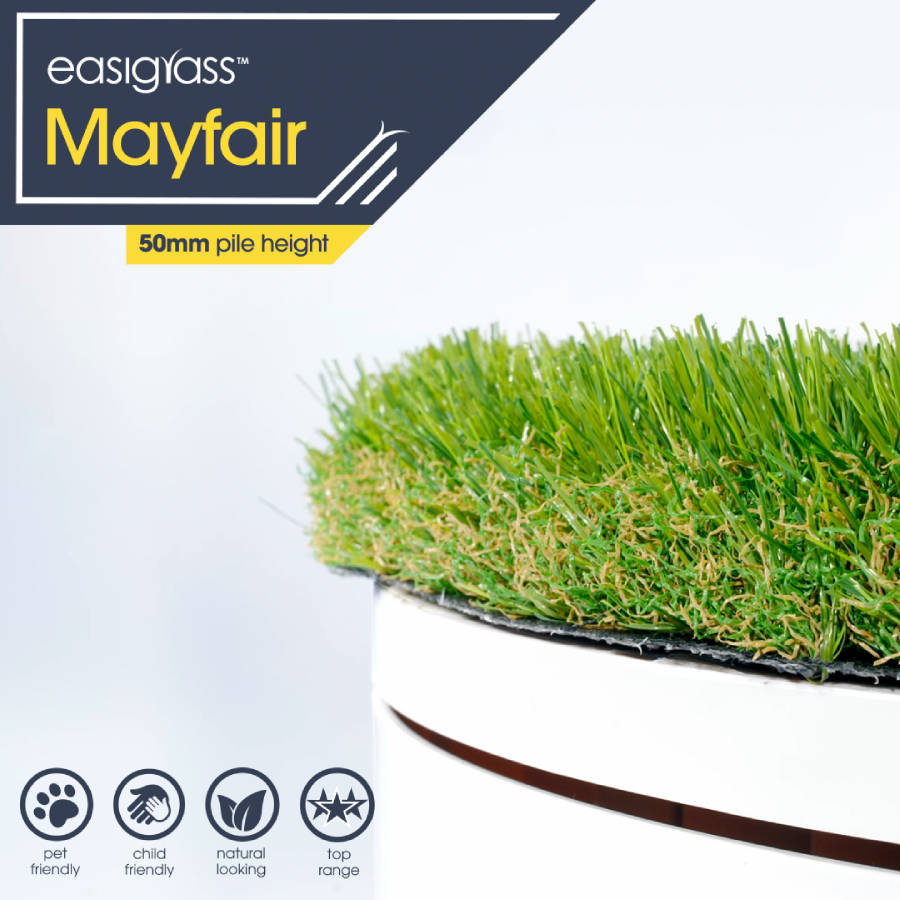 Mayfair 1 900x0 c center