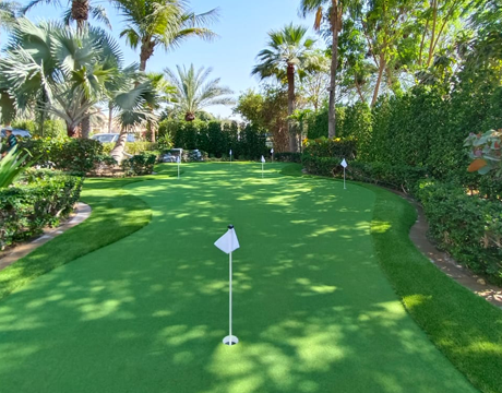 artificial grass golf turf palm tree